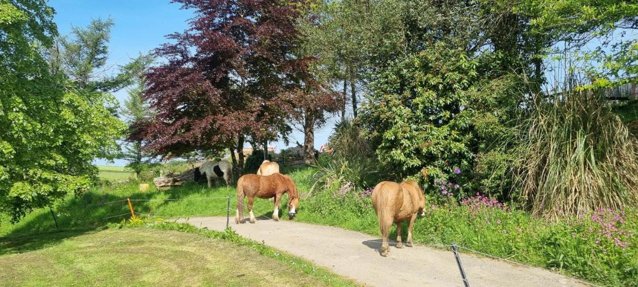 No 4 Trelawney Apartment - Onsite Bar - Restaurant - Horse Riding Menheniot Zewnętrze zdjęcie