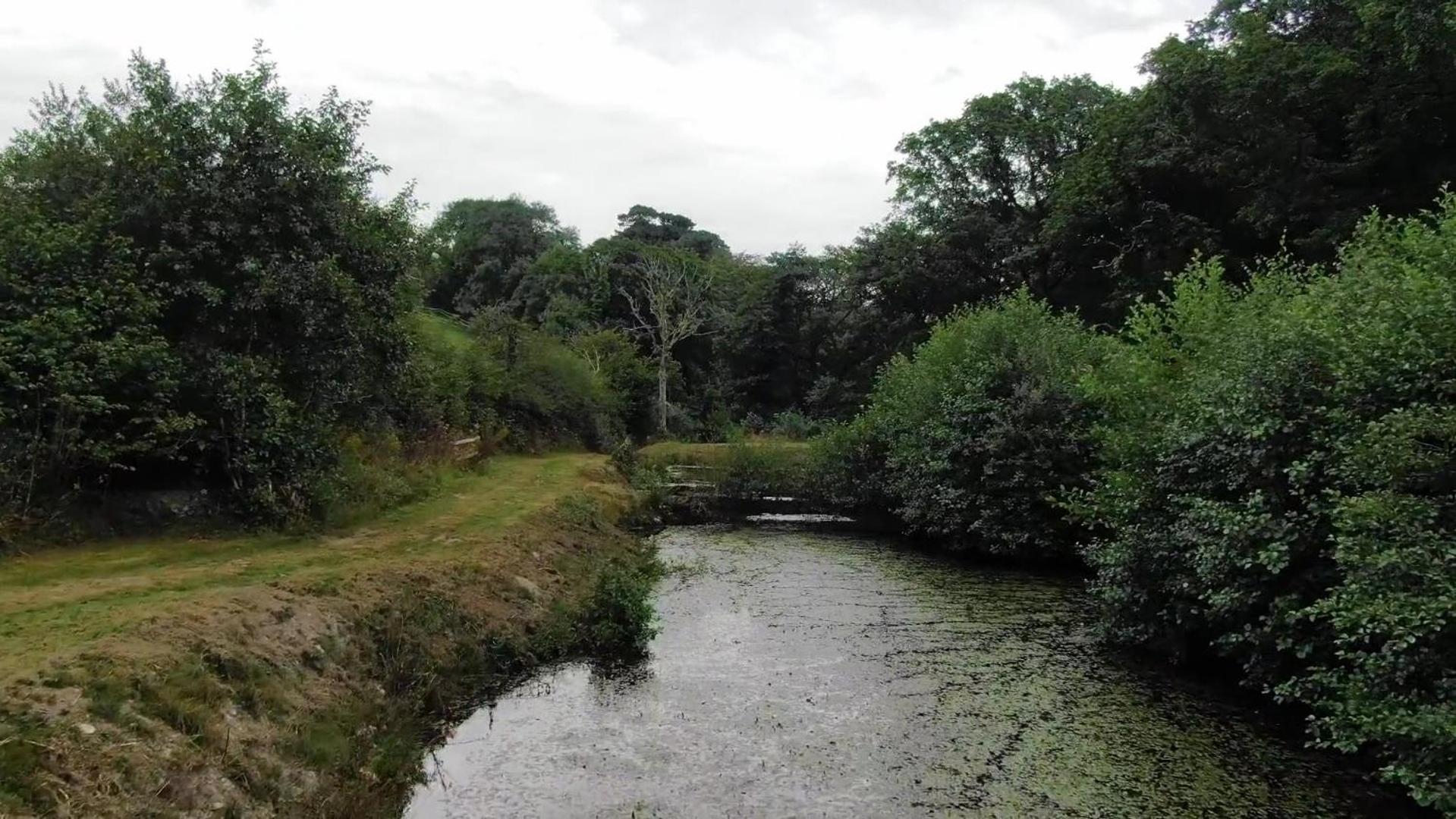 Trelawney Cottage, Sleeps Up To 4, Wifi, Fully Equipped Menheniot Zewnętrze zdjęcie